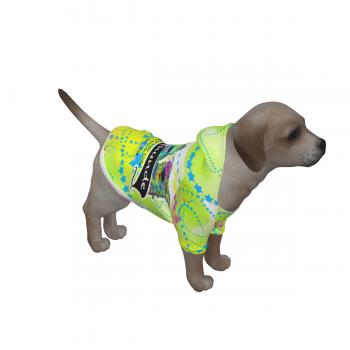 Hunde Hoodie "mit Lieblingsmotiv von RBC"
